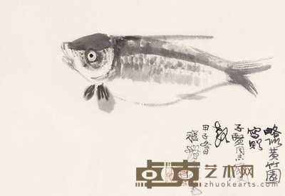 程十发 墨鱼图 镜心 46×32cm